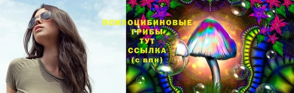 дурь Кулебаки