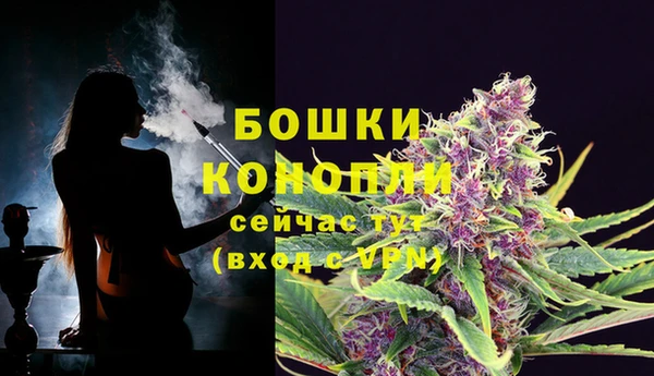 дурь Кулебаки